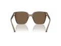 Jimmy Choo Naočare za sunce JC 5016D 505173