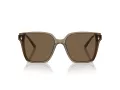 Jimmy Choo Naočare za sunce JC 5016D 505173