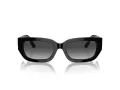 Jimmy Choo Naočare za sunce JC 5017 50008G