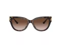 Jimmy Choo Naočare za sunce JC 5018U 500213