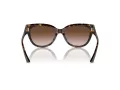 Jimmy Choo Naočare za sunce JC 5018U 500213