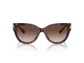 Jimmy Choo Naočare za sunce JC 5018U 500213