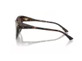 Jimmy Choo Naočare za sunce JC 5018U 500213