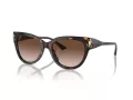 Jimmy Choo Naočare za sunce JC 5018U 500213