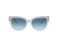Jimmy Choo Naočare za sunce JC 5018U 502619