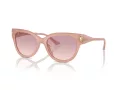 Jimmy Choo Naočare za sunce JC 5018U 502768