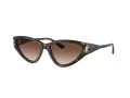 Jimmy Choo Naočare za sunce JC 5019 500213