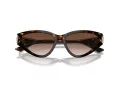 Jimmy Choo Naočare za sunce JC 5019 500213