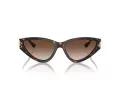 Jimmy Choo Naočare za sunce JC 5019 500213