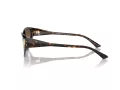 Jimmy Choo Naočare za sunce JC 5019 500213