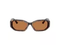 Jimmy Choo Naočare za sunce JC 5021BU 500273