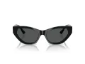 Jimmy Choo Naočare za sunce JC 5022B 500087