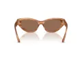 Jimmy Choo Naočare za sunce JC 5022B 505573