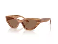 Jimmy Choo Naočare za sunce JC 5022B 505573