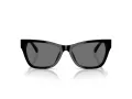 Jimmy Choo Naočare za sunce JC 5024HU 500081