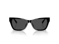 Jimmy Choo Naočare za sunce JC 5024HU 500087