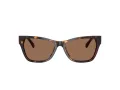 Jimmy Choo Naočare za sunce JC 5024HU 500273