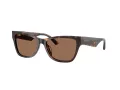 Jimmy Choo Naočare za sunce JC 5024HU 500273