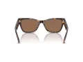 Jimmy Choo Naočare za sunce JC 5024HU 500273