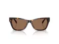 Jimmy Choo Naočare za sunce JC 5024HU 500273