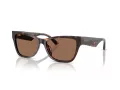 Jimmy Choo Naočare za sunce JC 5024HU 500273