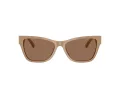 Jimmy Choo Naočare za sunce JC 5024HU 505873