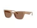 Jimmy Choo Naočare za sunce JC 5024HU 505873