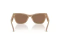 Jimmy Choo Naočare za sunce JC 5024HU 505873