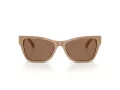 Jimmy Choo Naočare za sunce JC 5024HU 505873