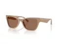 Jimmy Choo Naočare za sunce JC 5024HU 505873