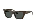 Jimmy Choo Naočare za sunce JC 5028 506087