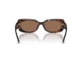 Jimmy Choo Naočare za sunce JC 5029U 500273