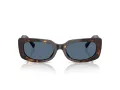 Jimmy Choo Naočare za sunce JC 5029U 500280