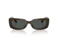 Jimmy Choo Naočare za sunce JC 5029U 506087