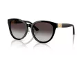 Jimmy Choo Naočare za sunce JC 5032D 500086