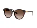 Jimmy Choo Naočare za sunce JC 5032D 50028G
