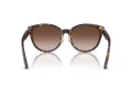 Jimmy Choo Naočare za sunce JC 5032D 50028G