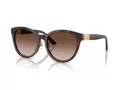 Jimmy Choo Naočare za sunce JC 5032D 50028G