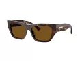 Jimmy Choo Naočare za sunce JC 5035B 500283