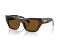 Jimmy Choo Naočare za sunce JC 5035B 500283