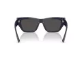 Jimmy Choo Naočare za sunce JC 5035B 501687