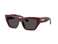 Jimmy Choo Naočare za sunce JC 5035B 505787