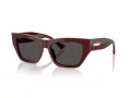 Jimmy Choo Naočare za sunce JC 5035B 505787