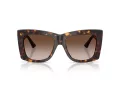 Jimmy Choo Naočare za sunce JC 5036B 500213