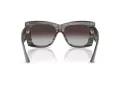 Jimmy Choo Naočare za sunce JC 5036B 50638G