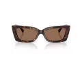 Jimmy Choo Naočare za sunce JC 5037BU 500273