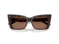 Jimmy Choo Naočare za sunce JC 5041 500273