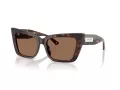 Jimmy Choo Naočare za sunce JC 5041 500273
