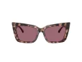 Jimmy Choo Naočare za sunce JC 5041 50701A