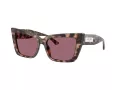 Jimmy Choo Naočare za sunce JC 5041 50701A